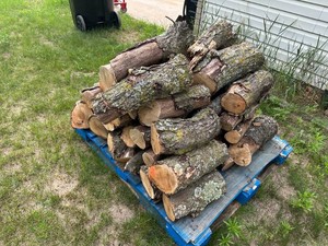 Pallet of Oak Firewood - Take What You Want