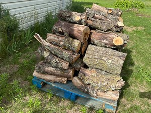 Pallet of Oak Firewood - Take What You Want