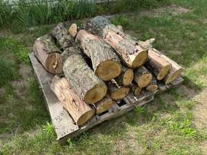 Pallet of Oak Firewood - Take What You Want