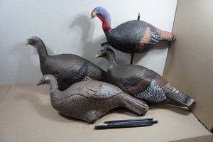 Turkey Decoys