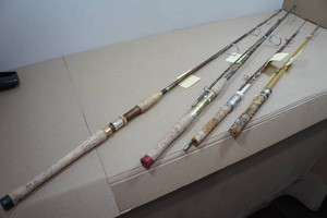 Assorted Fishing Poles