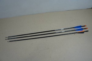 3 Allen Thunder Express Arrows