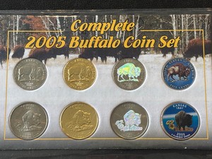 2005 Buffalo Coin Set
