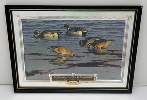Limited Edition 1993 E&J Brandy And Ducks Unlimited Bar Mirror 15 12 x 21 12