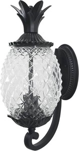 $137 Acclaim 7501BK Lanai Collection 2-Light Wall Mount Outdoor Light Fixture, Matte Black