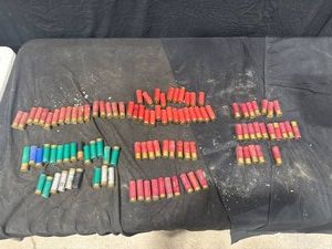Mixed Shotgun Shells Lot