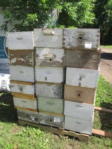36 Deep Beehive honey Boxes with dr...