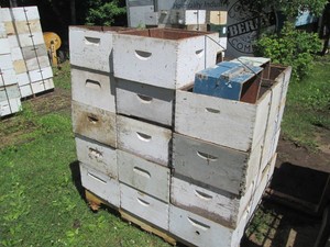 38 Deep Beehive honey Boxes no fra...