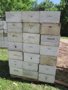42 Deep Beehive honey Boxes with dr...