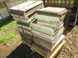33 Beehive honey box pallet section...