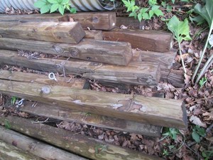 14 or more 4x4in wood green treat p...