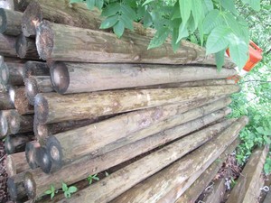 6pcs of round 8 foot green treat po...
