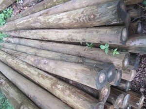 6pcs of round 8 foot green treat po...