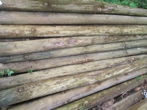 6pcs of round 8 foot green treat po...