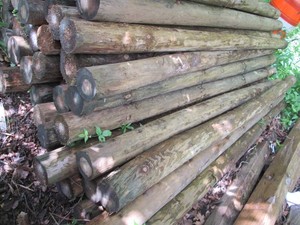 6pcs of round 8 foot green treat po...