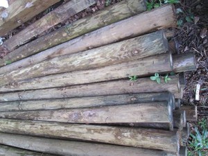 6pcs of round 8 foot green treat po...