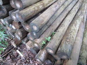 6pcs of round 8 foot green treat po...