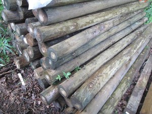 6pcs of round 8 foot green treat po...