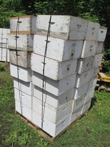 42 Deep Beehive honey Boxes with dr...