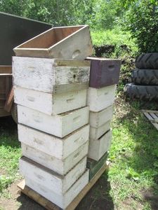 Mixture 14 Deep and Shallow Beehive...