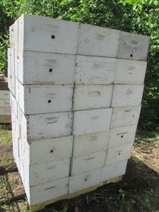 42 Deep Beehive honey Boxes with dr...