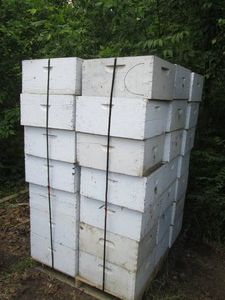 42 Deep Beehive honey Boxes with dr...