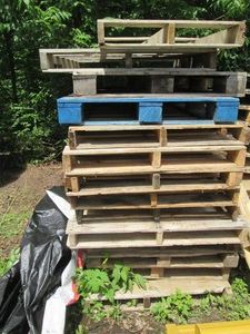 14 full size wood pallets...