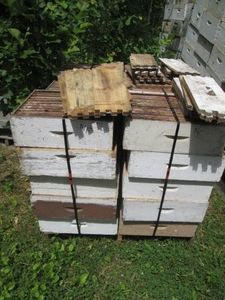 30 Shallow Beehive honey Boxes with...