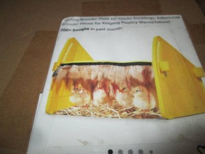 New in Box Brooder Heater for baby ...