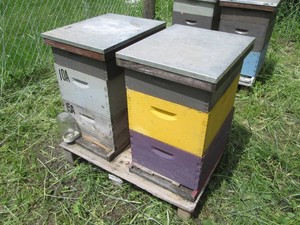 2 Complete 3-Frame Beehive Honey Box...