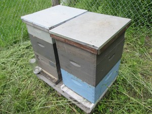 2 Complete 3-Frame Beehive Honey Box...