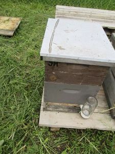 1 Complete 2-Frame Beehive Honey Box...