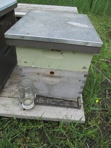 1 Complete 2-Frame Beehive Honey Box...