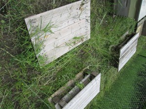 7 Half size wood pallets...