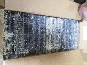 Case of 100pc 8-12in Rite Cell BL ...