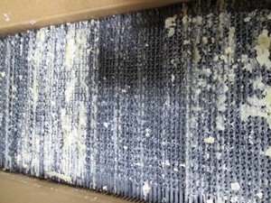 Case of 100pc 8-12in Rite Cell BL ...