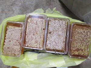 4pc lot of Raw Cut Honeycomb