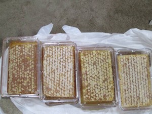 4pc lot of Raw Cut Honeycomb