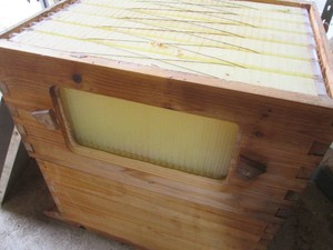 Beekeeper Flow Hive