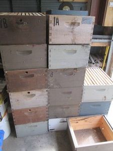 Large grouping of Deep Cell Bee Hiv...