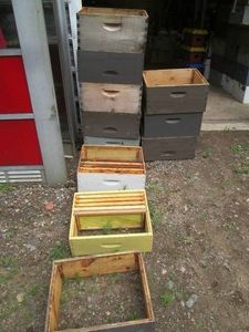 Bulk lot of assorted size bee Hive ...