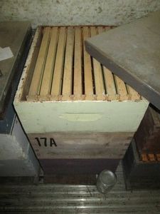 1 Complete 3-Cell Beehive Honey Box...