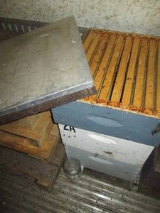1 Complete 3-Cell Beehive Honey Box...