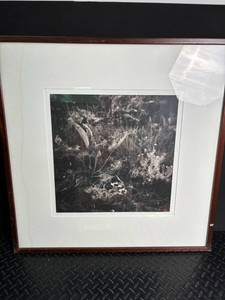Framed Black and White Botanical Print