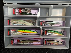 Rapala Fishing Lures in Case (Lot of 8)