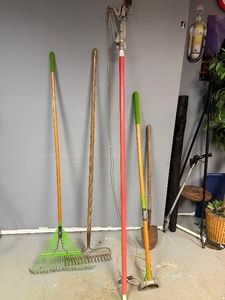 Rake, hole pruner, tree saw, shovel, shuffle hoe