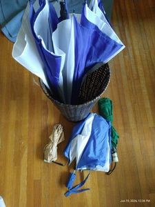 Umbrella Stand with Umbrellas