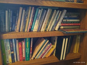 (2) Shelves of Christian Non-Fiction Books - Family-Focused, Etc.