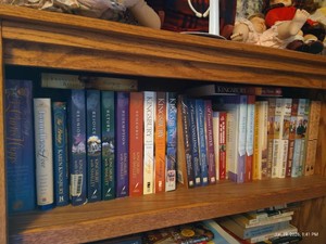 Shelf of Christian Fiction - Snelling, Lacy, Rivers, Etc.