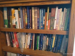(2) Shelves of Christian Fiction & Nonfiction Books